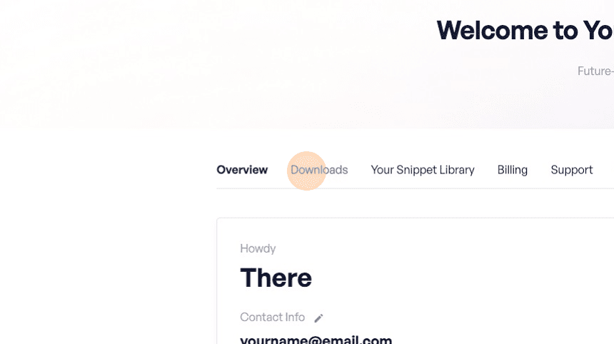 Click on Downloads in the WPCode account area