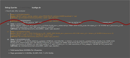 debug_queries debug_queries