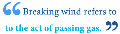 define breaking wind