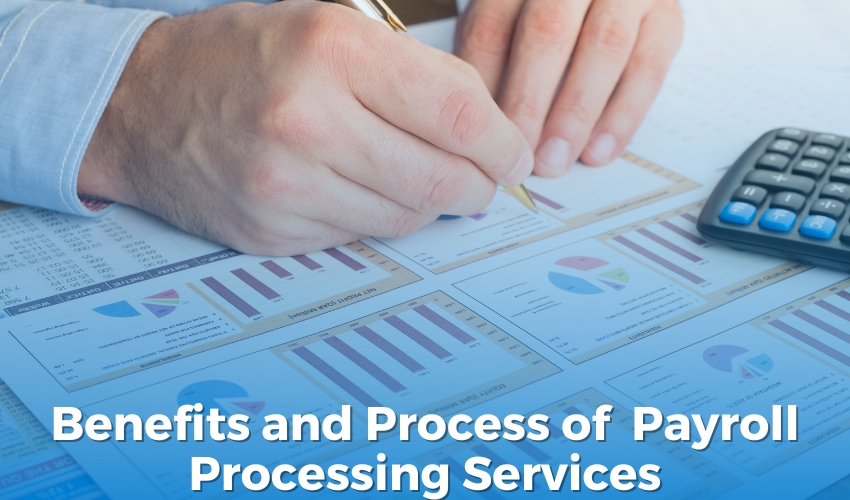 Benefits and Process of Payroll Processing Services