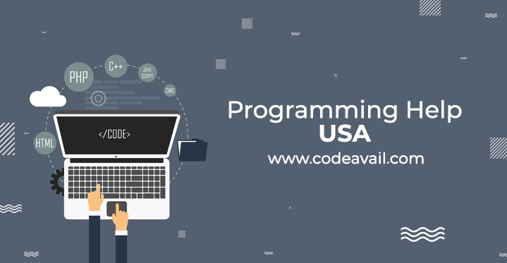 Programming Help USA