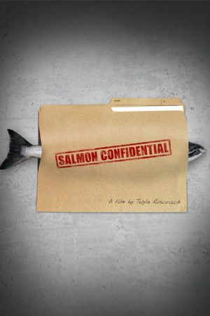 Salmon Confidential