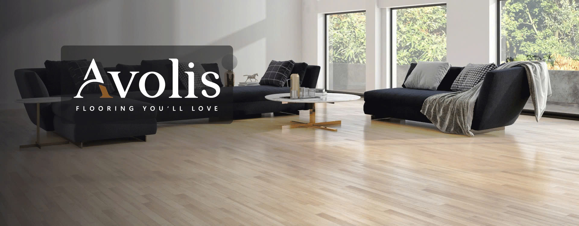 avolis banner