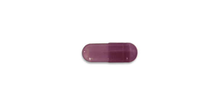 Probiotik Purple Natural Hartkapsel | Goerlich Pharma Probiotik Purple Natural Hartkapsel | Goerlich Pharma