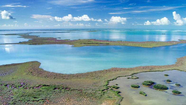 everglades image with blue skies and some clouds