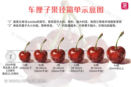 车厘子2J3J4J是什么意思