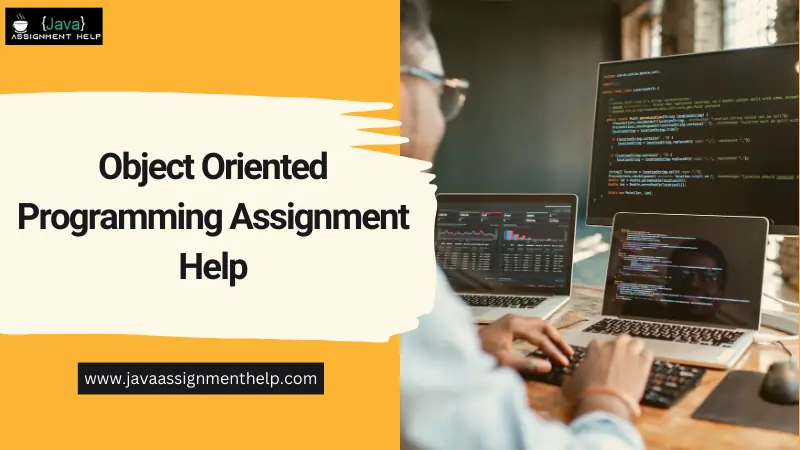Object Oriented Programming Assignment Help