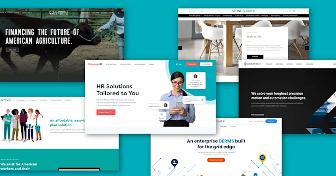 Enterprise-Level WordPress Development