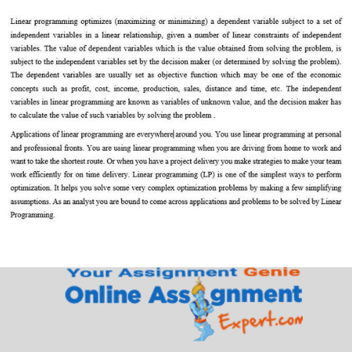 linear programming assignment sample