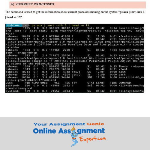 linux assignment sample