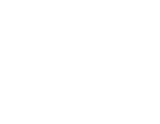aiowlvision