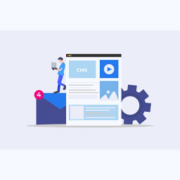 php-cms-development