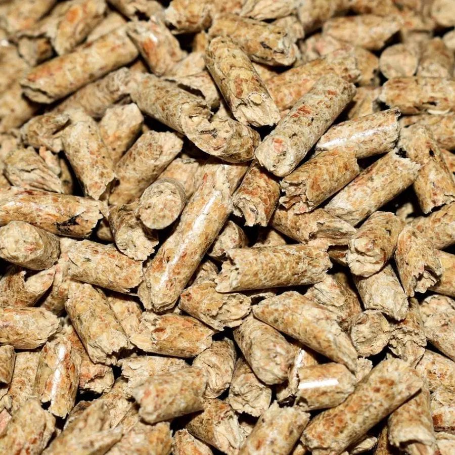 viên nén từ cây miscanthus