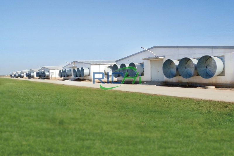 Impianto di macchina per pellet per alimenti animali 1-40MT