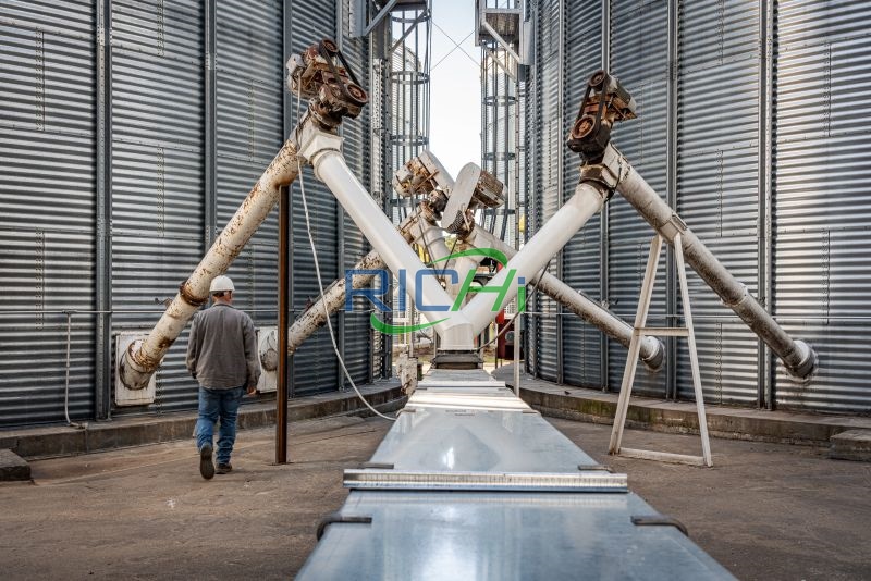 Linea di pruduzzione di pelletizazione di mangimi 10-50MT in Asia