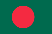 বাংলাদেশে পেলেটাইজিং মেশিন