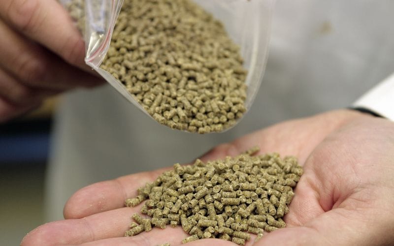 pellet per capra
