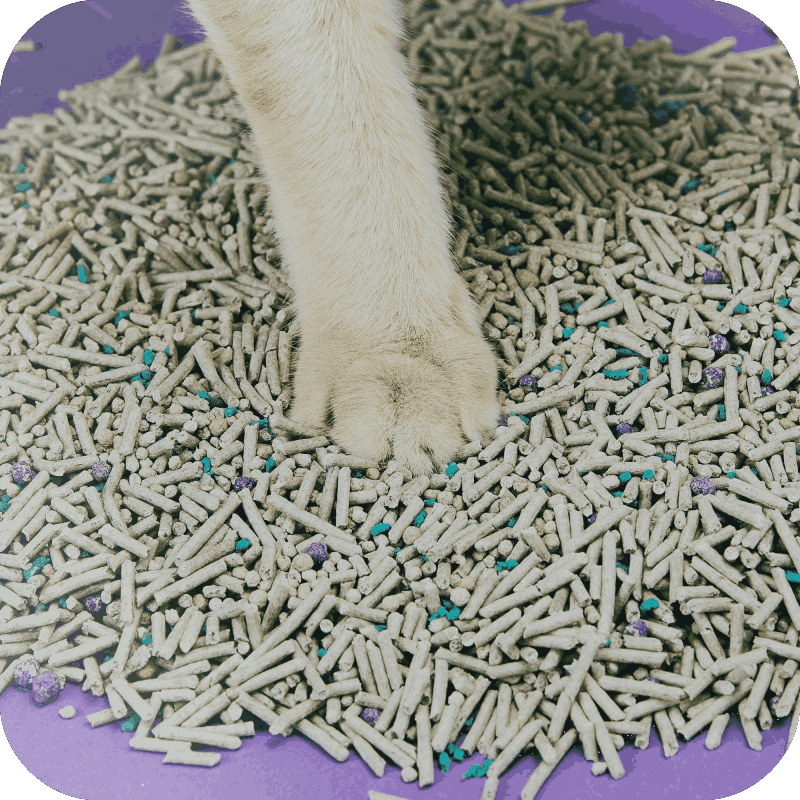 kattesand