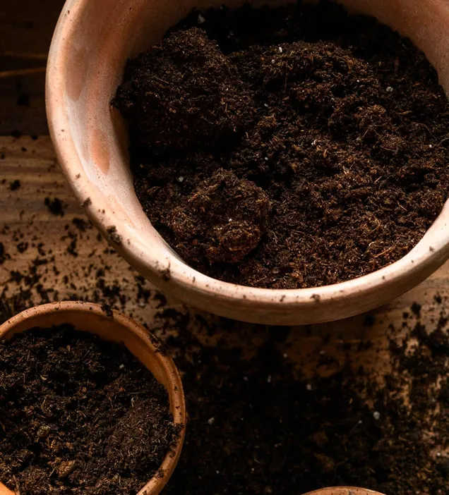 pellet di erba