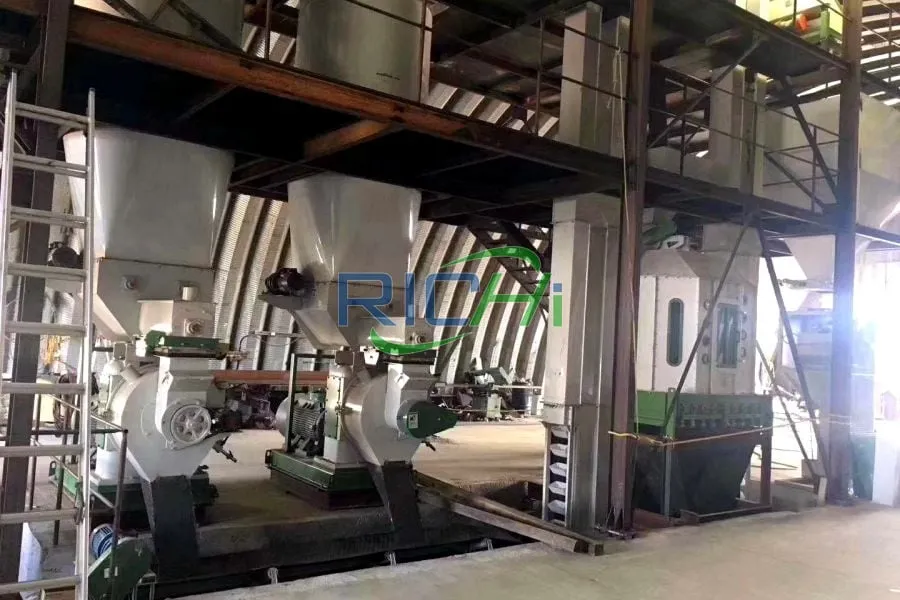Pelletizzatore da 5 t/h di cippato di legno in Germania
