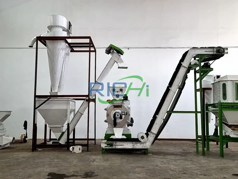 Macchina per pellet di lettiera per cavalli da 3-4 t/h in Germania