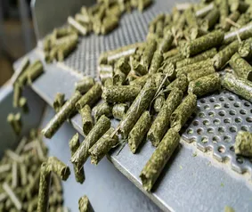 kulisha pellet