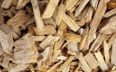 hazo chips