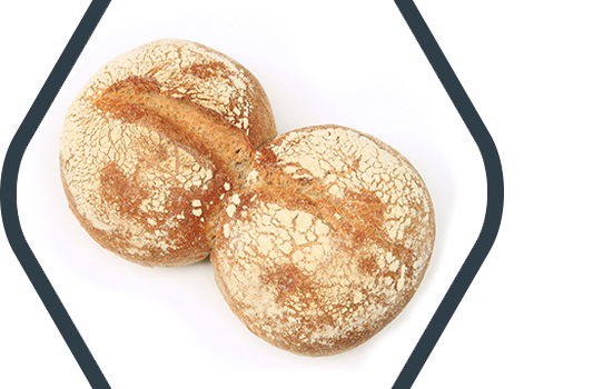 Header_Partner_Samuelson1