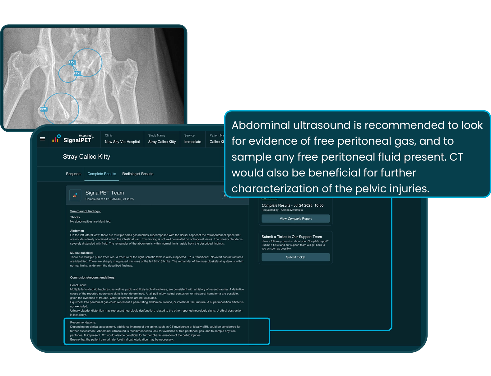 General Practice - Complete Report