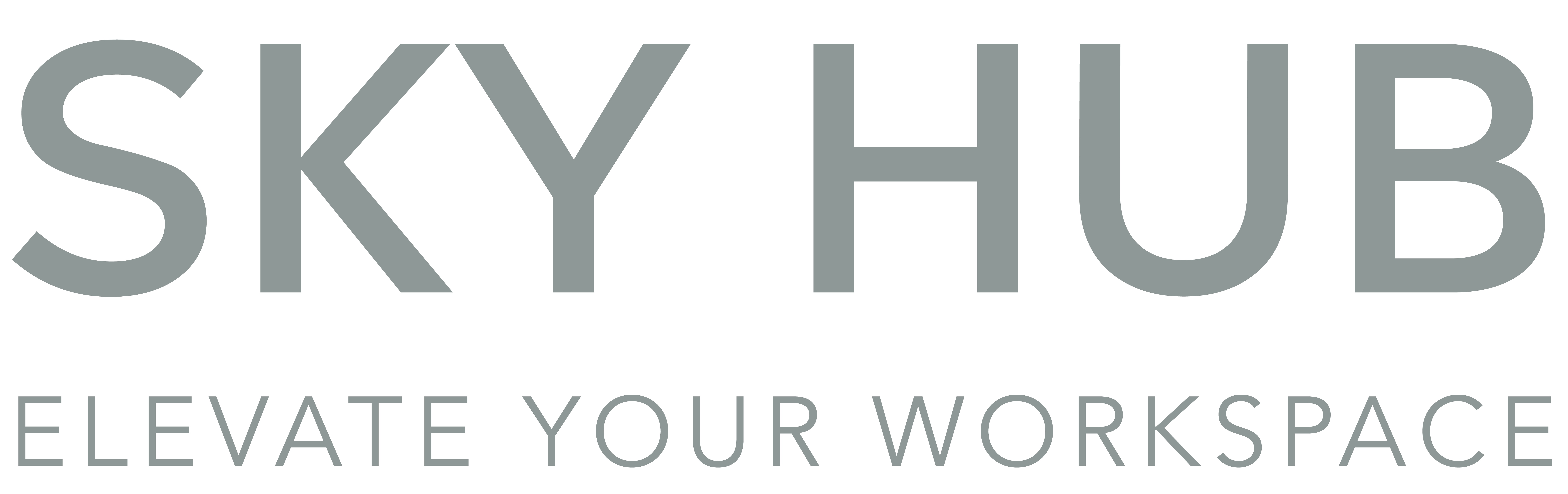 About SkyHub