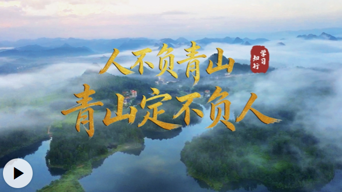 穀歌翻譯低配版下載