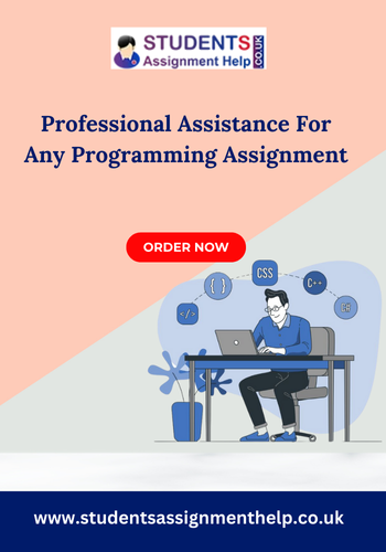 Programming Assignment Help