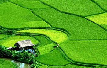 Le Vietnam comme on l'aime 14 jours/ 13 nuits