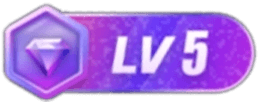 LV5 等级-LV5 - 浩宇工作室