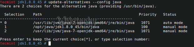  Update java alternatives