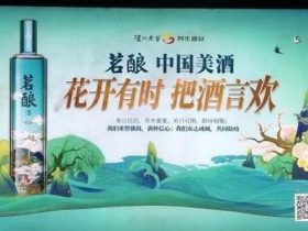 白酒行业户外广告投放推广方案与策略