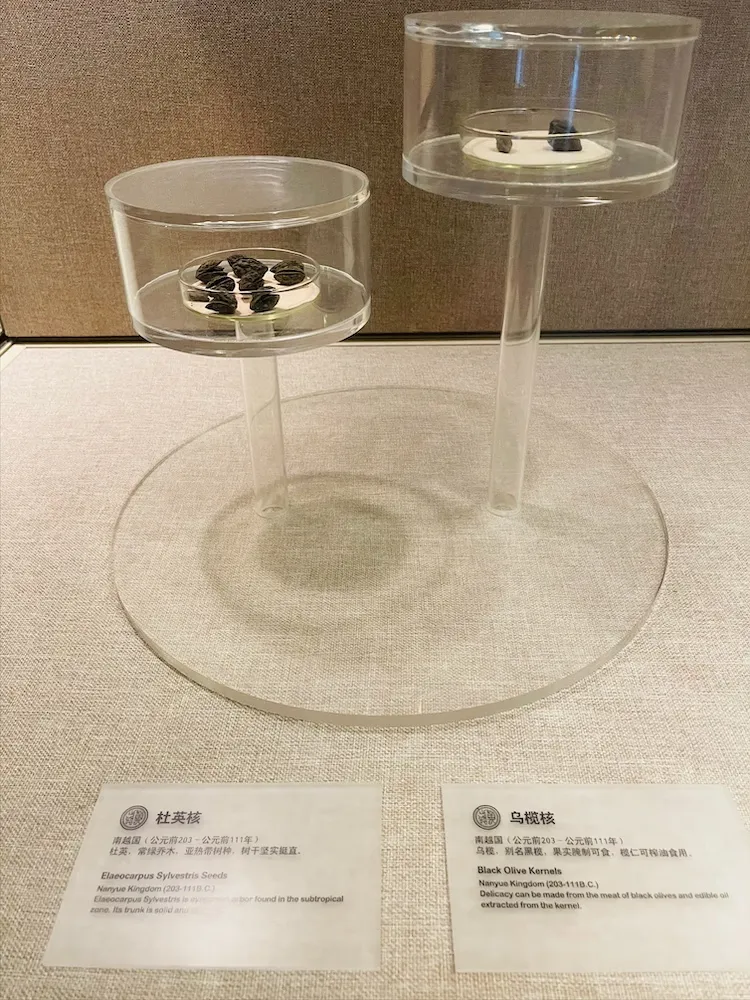 游广州南越王博物院(图38) 游广州南越王博物院(图38)